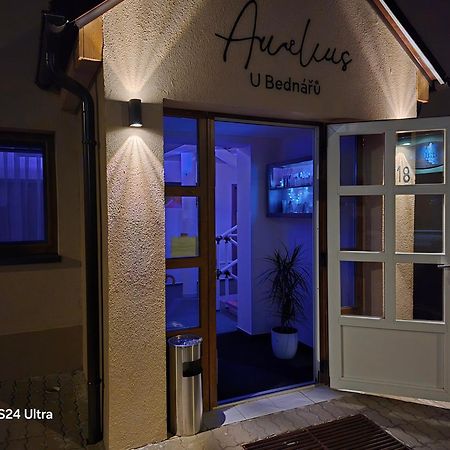Penzionu Aurelius U Bednaru Pavlov Exteriör bild